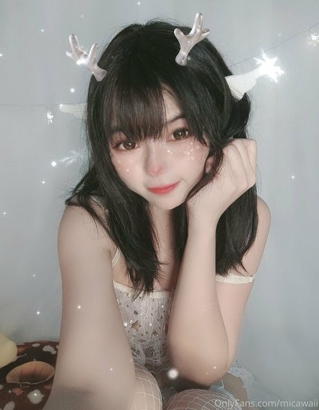 Mica_03021993