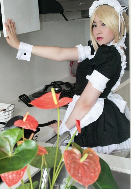 Hakicosmodel