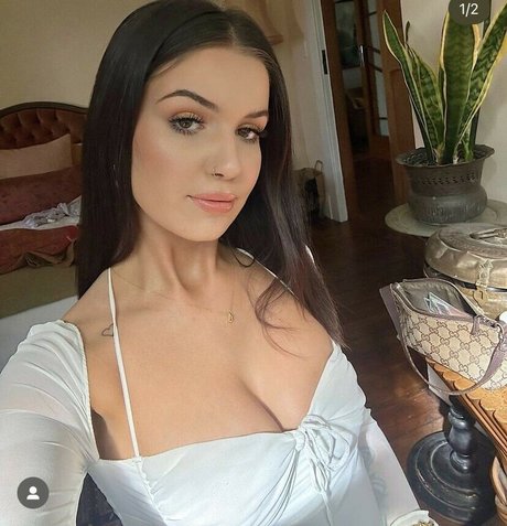 Pets.hendrikseigshid