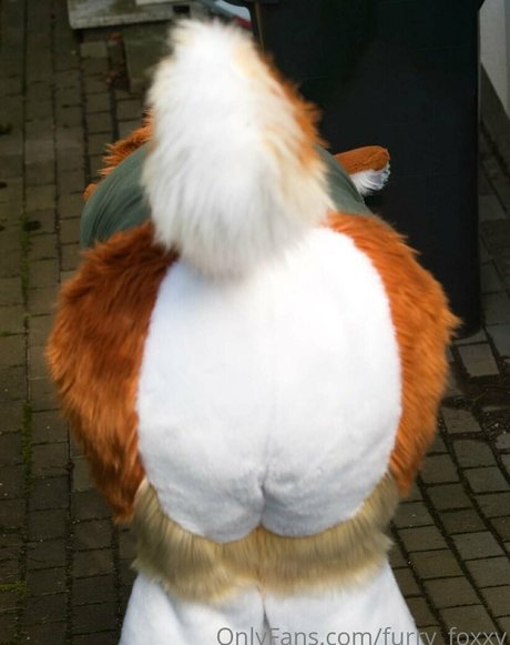 Furry_foxxy