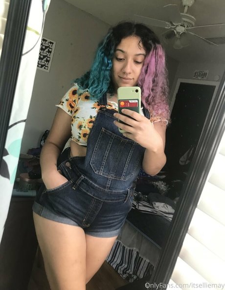 Photo nue de fuite OnlyFans de Itselliemay