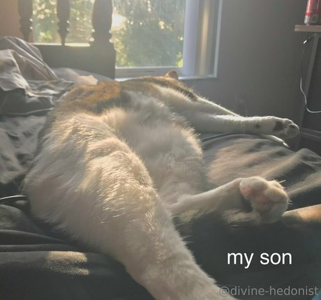 Divine-hedonist-free