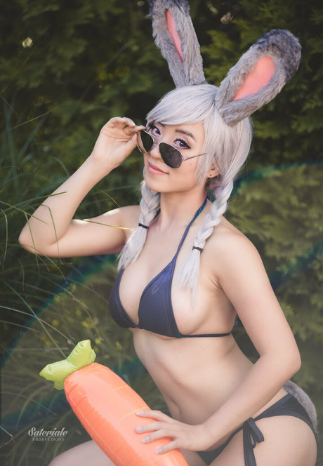 Stellewds