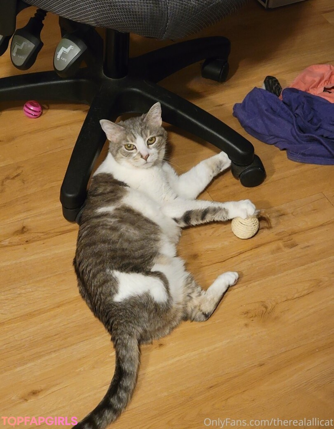Photo nue de fuite OnlyFans de Therealallicat #74 Photo nue de fuite OnlyFans de Therealallicat #74