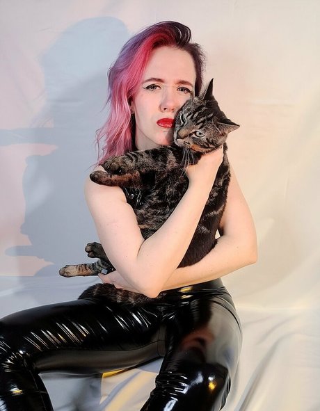 Enicat