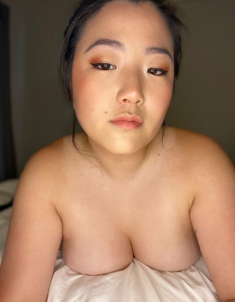 Stella_fox