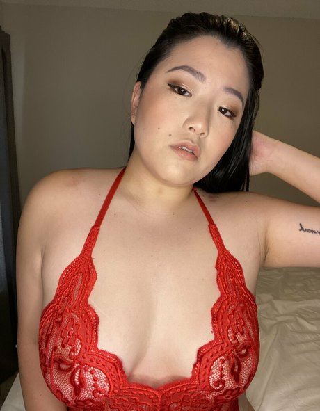 Stella_fox