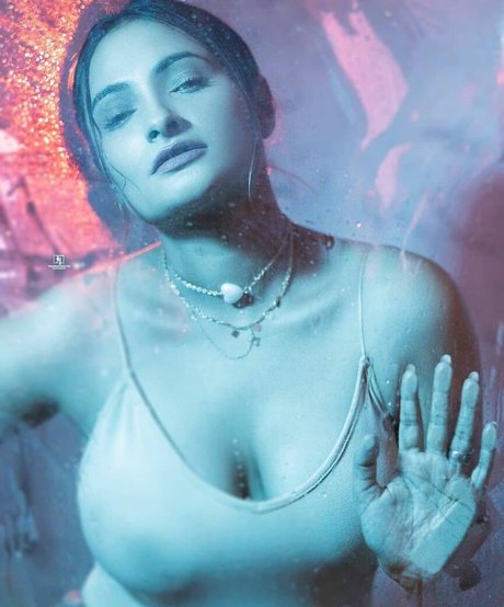 Desi Nri