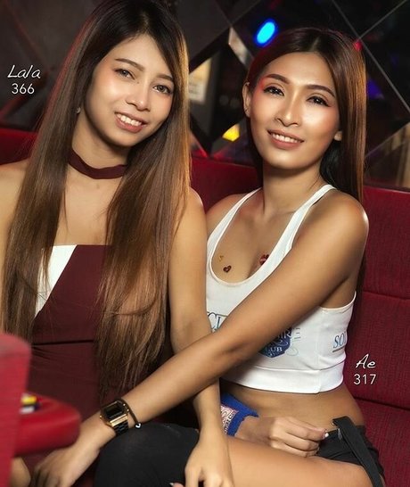 Candiddingdongs