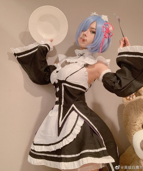 Deer_white