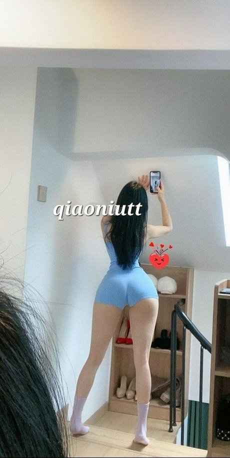 Qiaoniutt