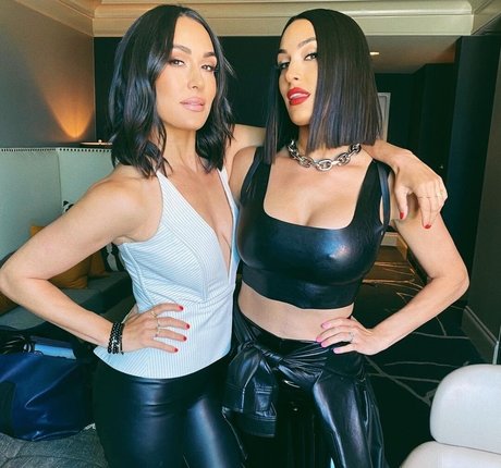 The Bella Twins: