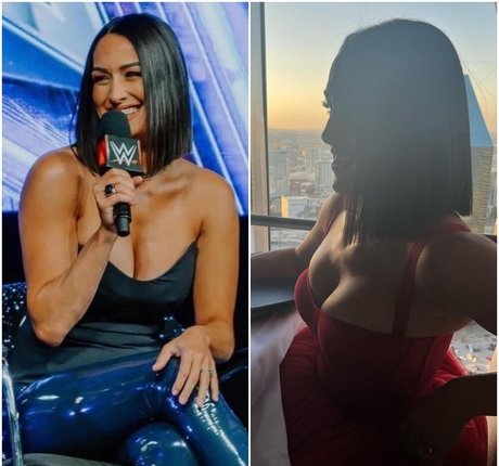 The Bella Twins: