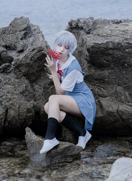 Himeelily