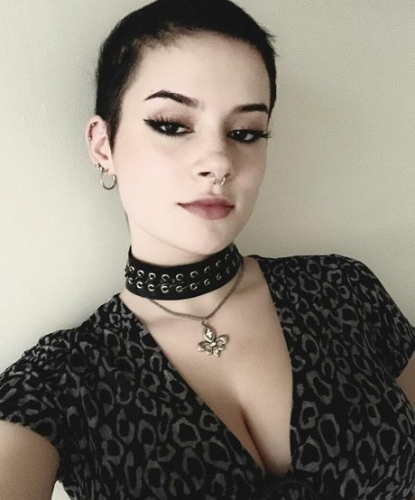 Sugarsweetnite