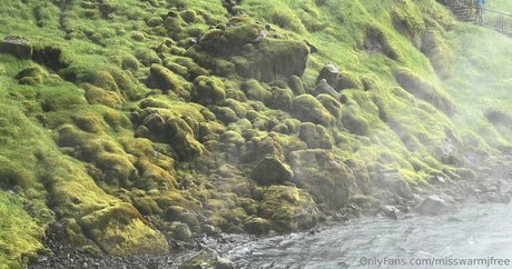 Misswarmjfree