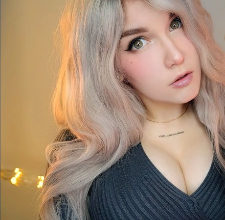 Asmr Kittyklaw