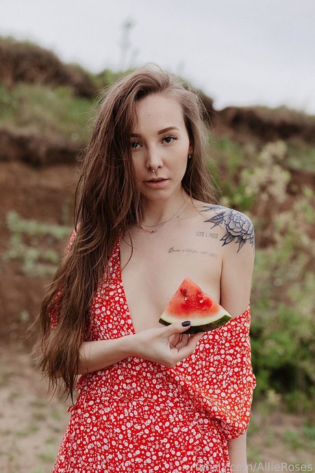 Allie roses
