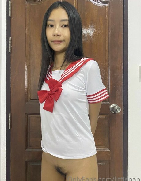 Littlepan