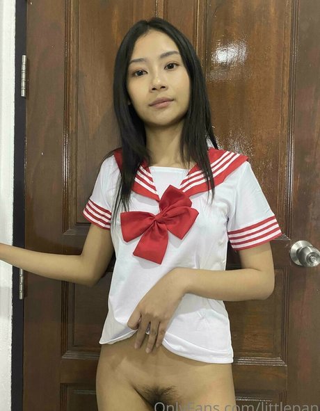 Littlepan