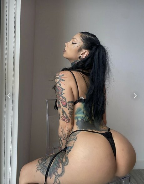 Taylor White