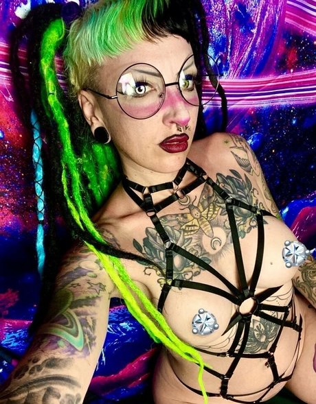 Elfspitfree