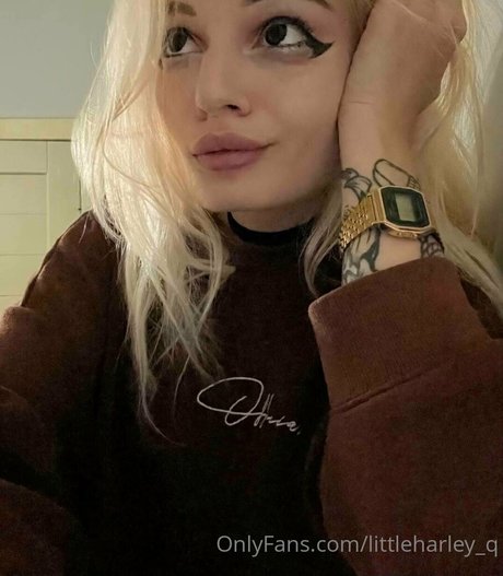 Littleharley_q