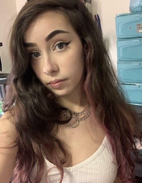 Lexi Lynx
