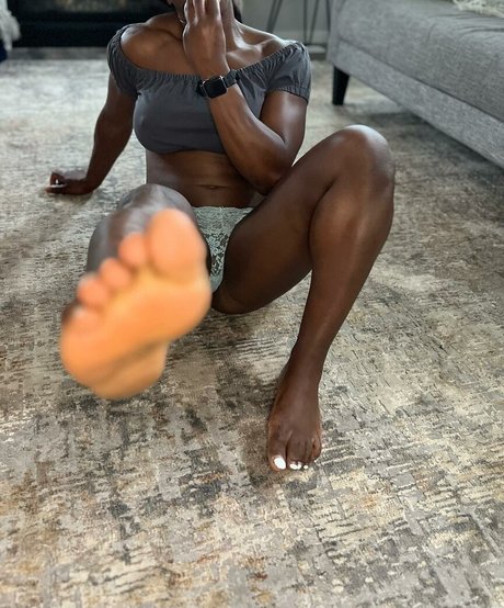 Terra Olivia VIP