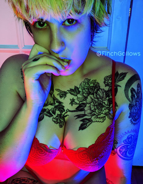 Finchgallows