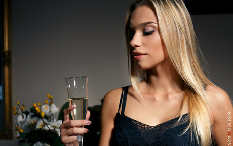 Charmmodels