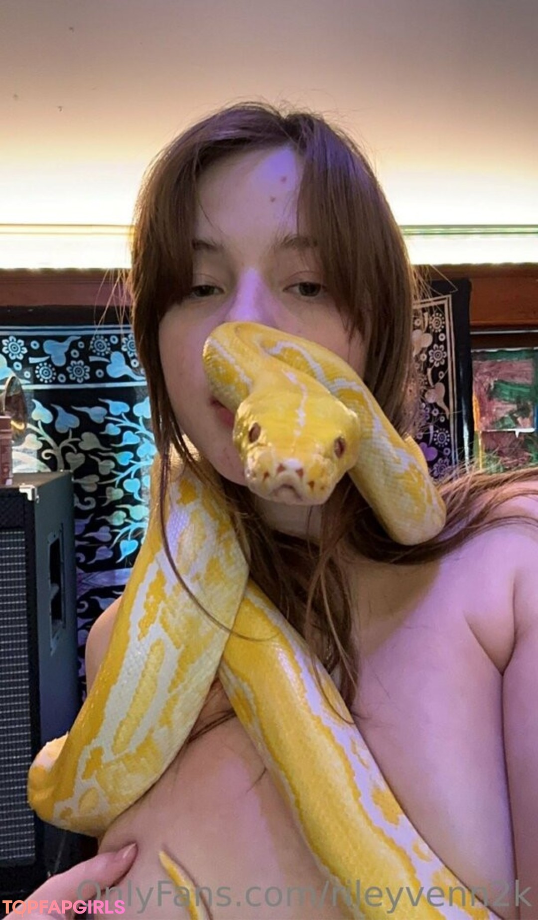 Photo nue de fuite OnlyFans de Snaakecharmerr #22 Photo nue de fuite OnlyFans de Snaakecharmerr #22