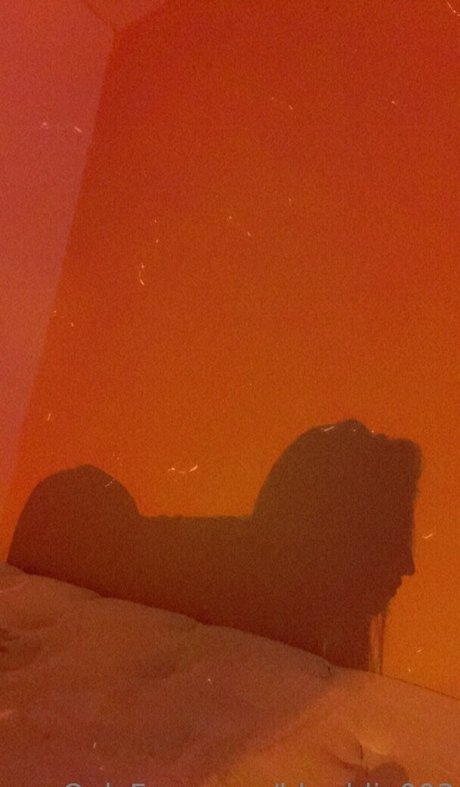 Photo nue de fuite OnlyFans de Bbaddie003