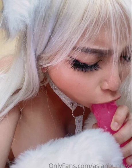 Misfitbunnyz