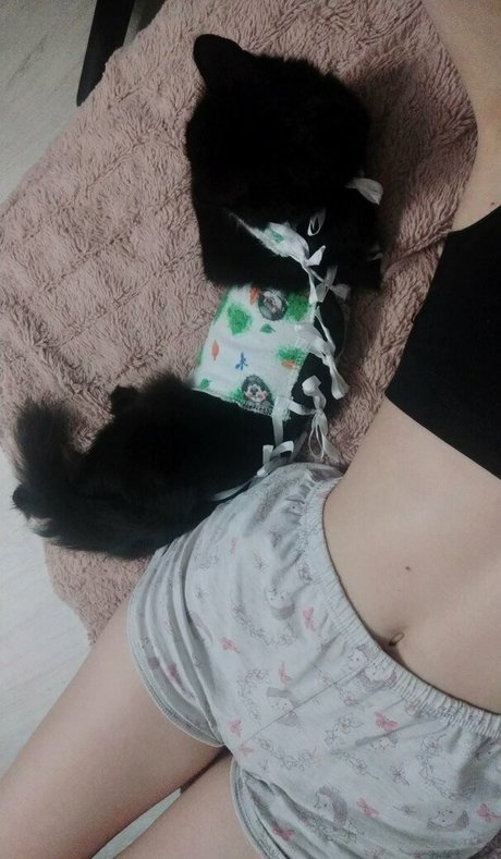 Owllit