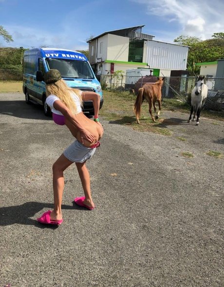 Puma Swede
