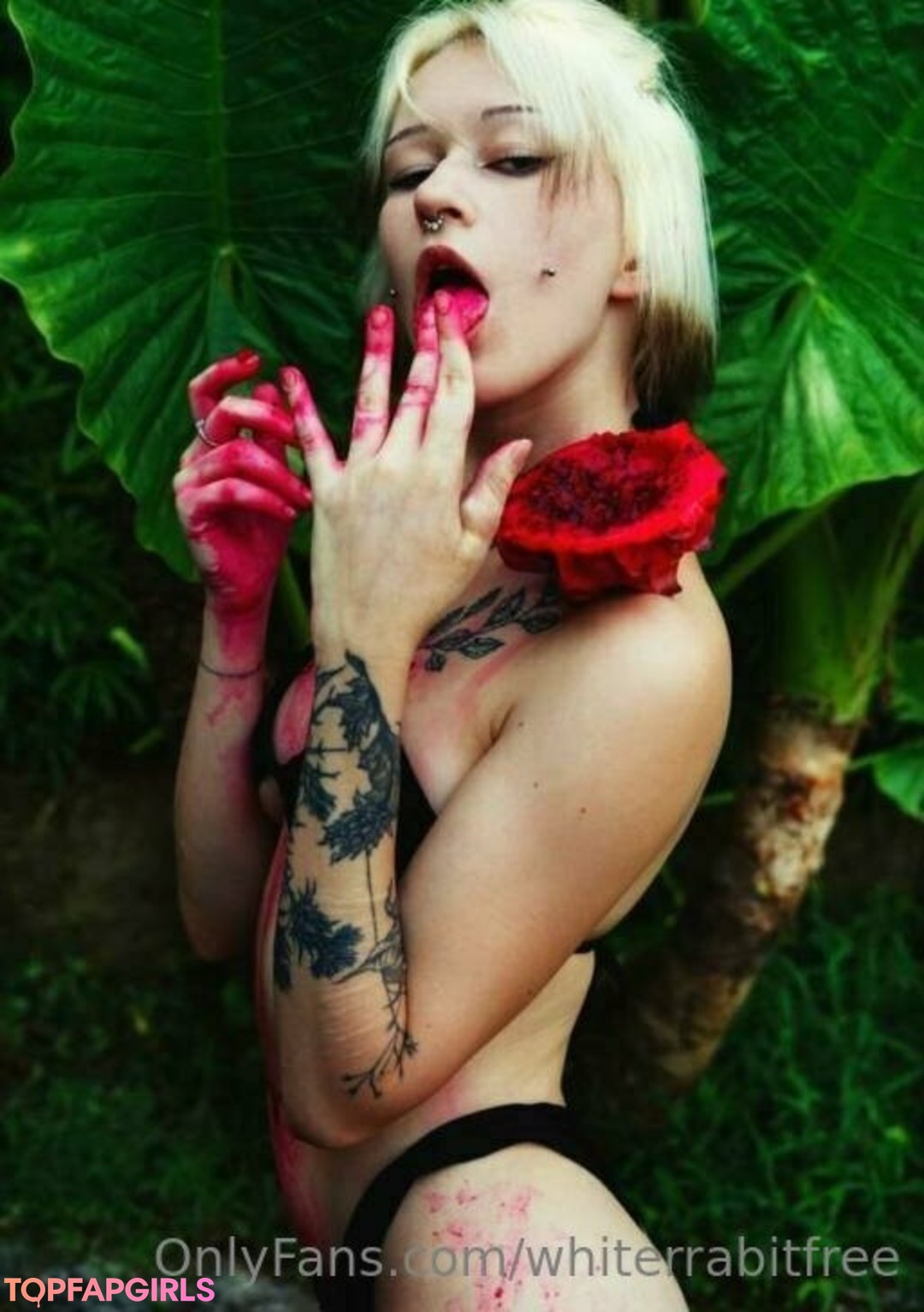Photo nue de fuite OnlyFans de Whiterrabitfree #236 Photo nue de fuite OnlyFans de Whiterrabitfree #236