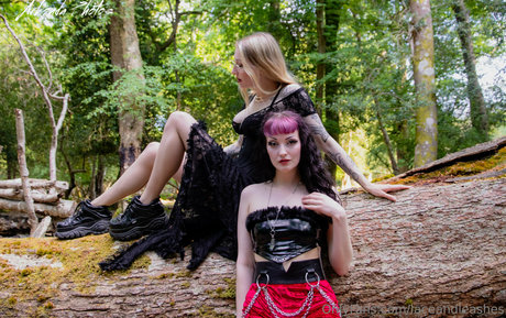 Laceandleashes