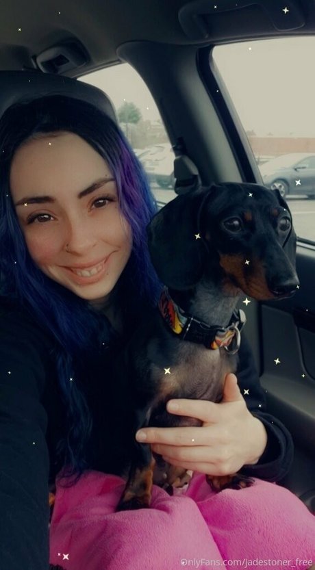Jadestoner_free