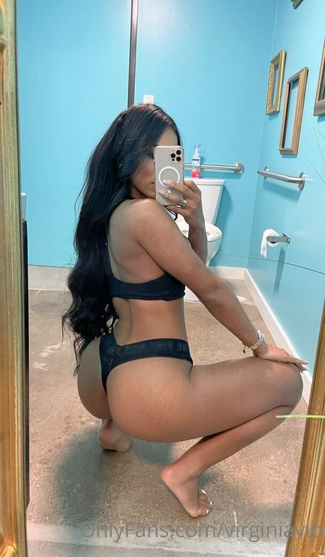 Virginasanhousefree