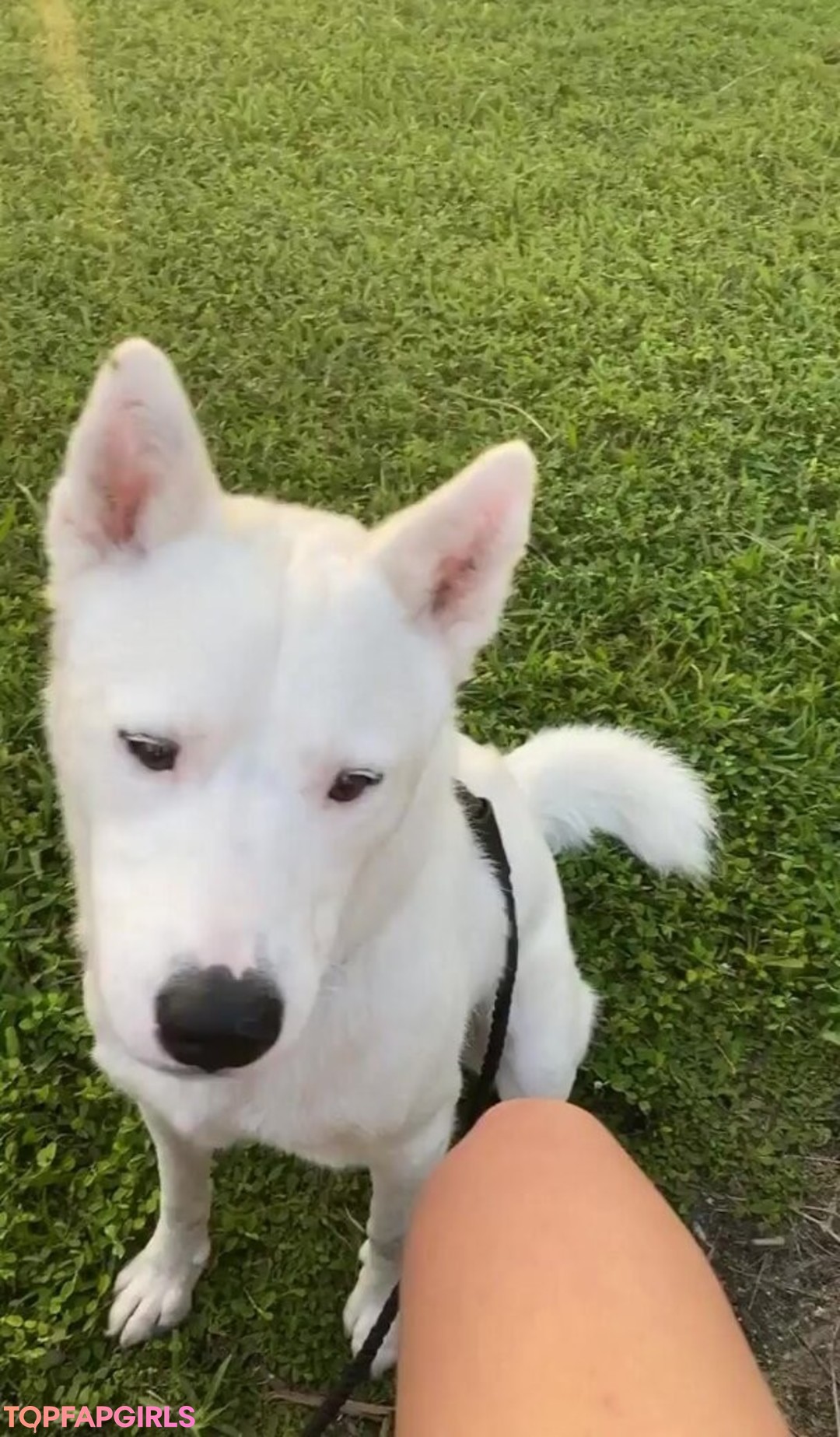 Photo nue de fuite OnlyFans de Lily Kawaii #253 Photo nue de fuite OnlyFans de Lily Kawaii #253