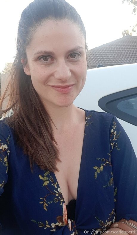 Aussielilyfox