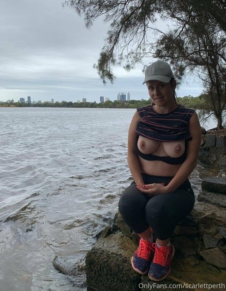 Aussielilyfox