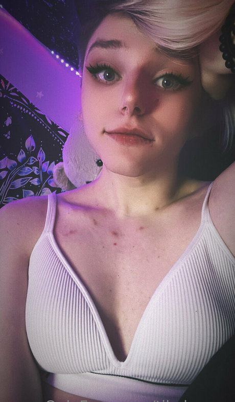 Tikalovexo