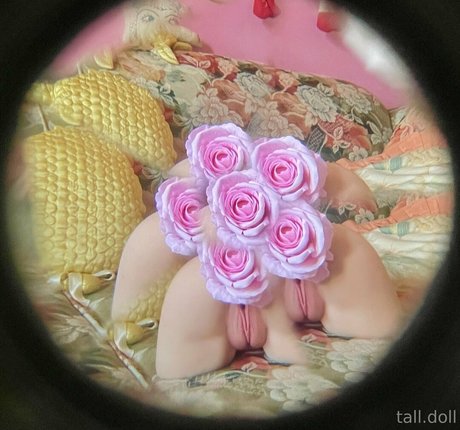 Talldoll