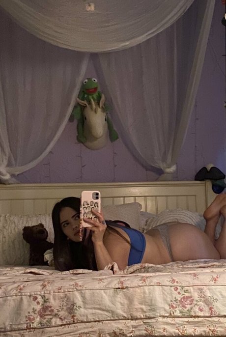 Vanessinator