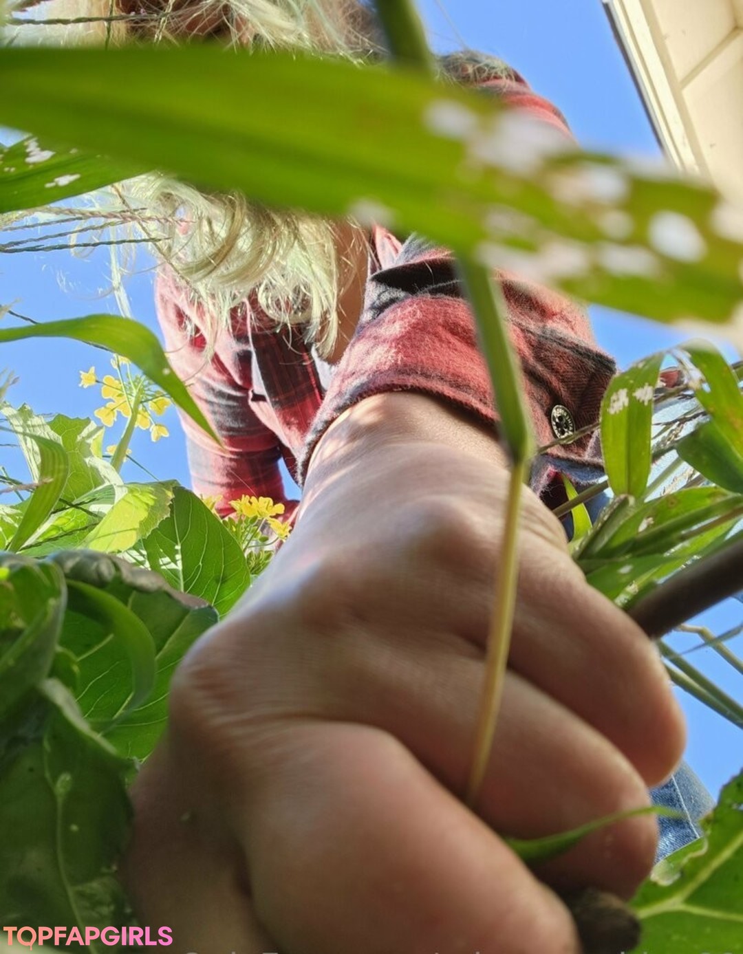 Photo nue de fuite OnlyFans de Mistysunshine00 #10 Photo nue de fuite OnlyFans de Mistysunshine00 #10