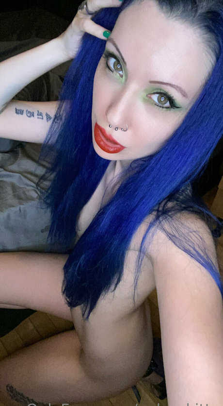 Vulgarkitty