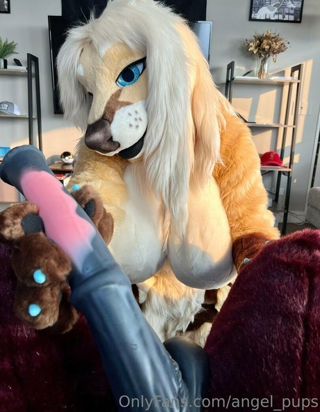 Angel_pups