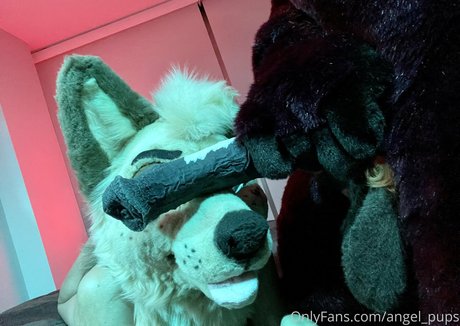 Angelpups